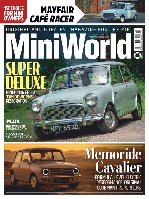 Cover image for MiniWorld